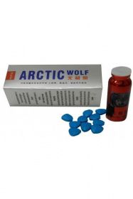 Е-0011 ARCTIC WOLF