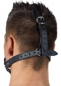 2492156 1001 Кляп-намордник с фиксацией на голову Head Harness